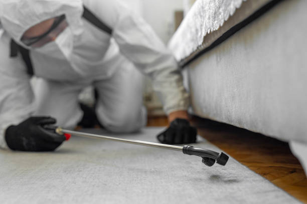 Professional Bed Bug Control technician working in Oklahoma, OK